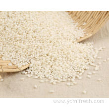 Sticky Rice Grain